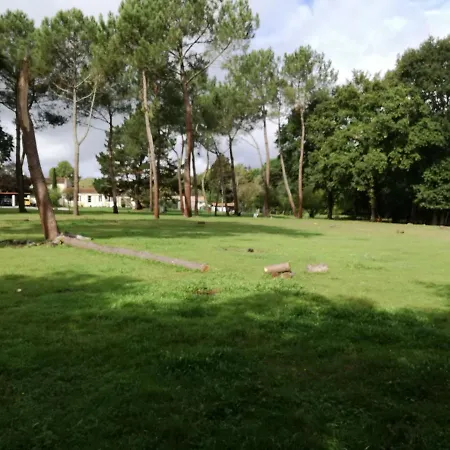 Notre Petite Prairie *